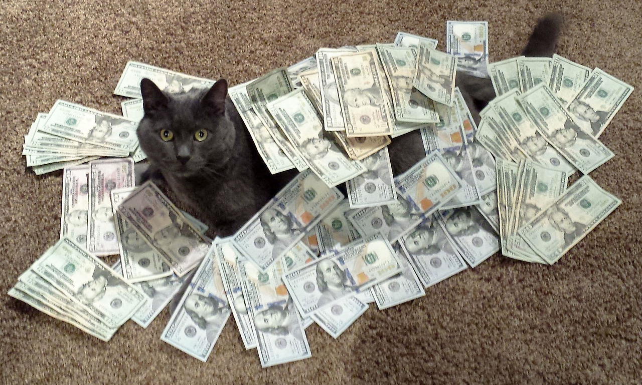 A/B testing makes you money.